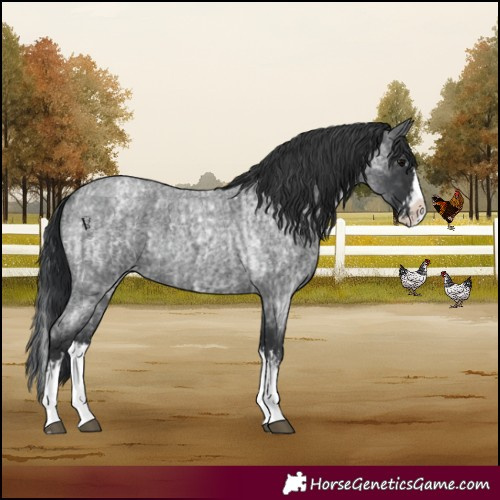 Horse Color:Blue Roan Sabino Splash  and Blue Roan Sabino Splash 