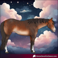 Horse Color:Bay Sabino 