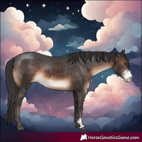 Horse Color:Brown Sabino Varnish 