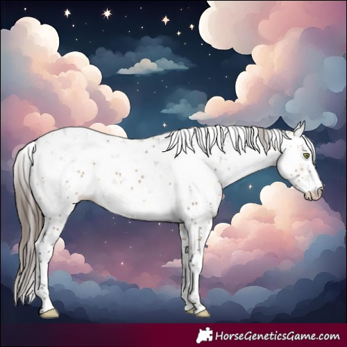 Horse Color:Bay Dun Sabino Blanket