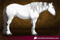Horse Color:Midnight Brown Tobiano Near Fewspot