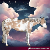 Horse Color:White Spotted Red Dun Mushroom Sabino 