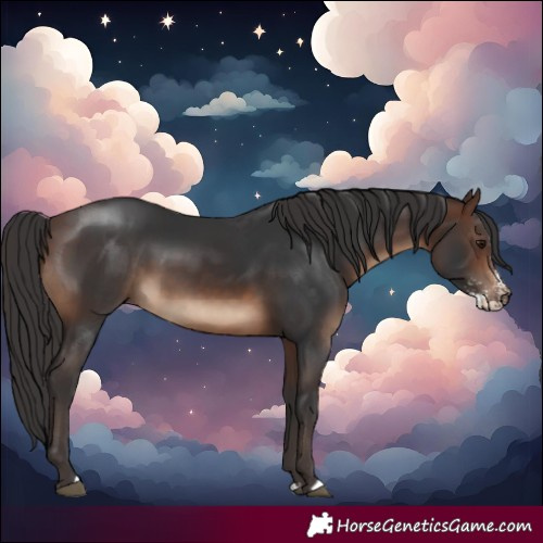Horse Color:Brown Sabino