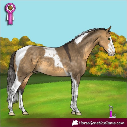 Horse Color:White Spotted Buckskin Dun Tobiano 