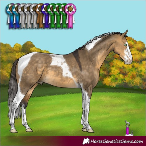 Horse Color:White Spotted Buckskin Dun Tobiano 