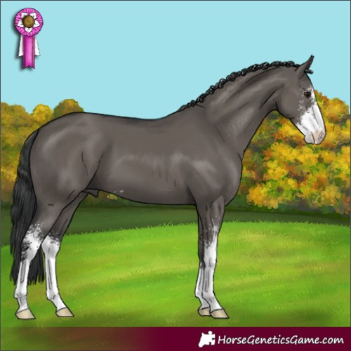 Horse Color:Grullo Sabino 