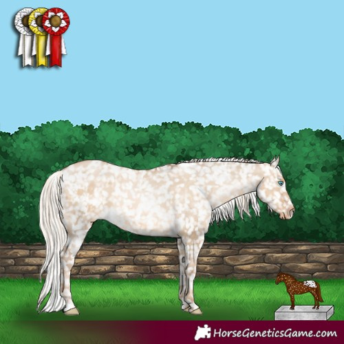 Horse Color:White Spotted Chocolate Palomino Pearl Dun Snowflake Varnish 
