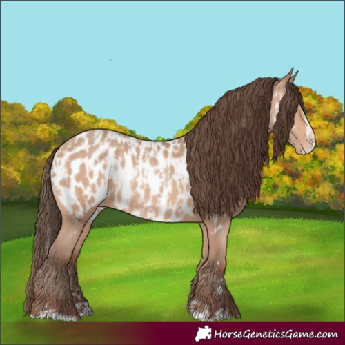 Horse Color:Amber Champagne Appaloosa Rabicano and Amber Champagne Splash Appaloosa Rabicano