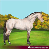 Horse Color:Bay Roan Dun Splash 
