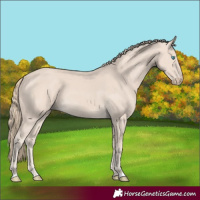 Horse Color:Smoky Creme 
