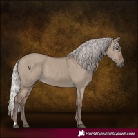 Horse Color:Silver Grullo 