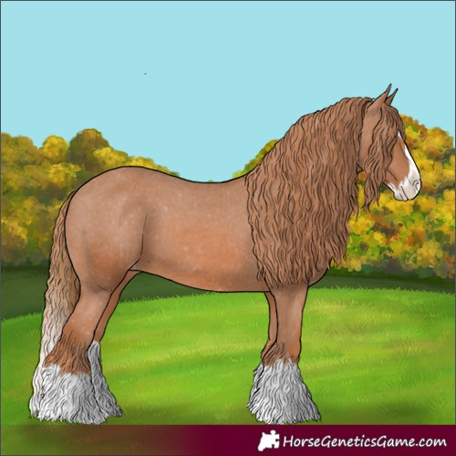Horse Color:Unknown 