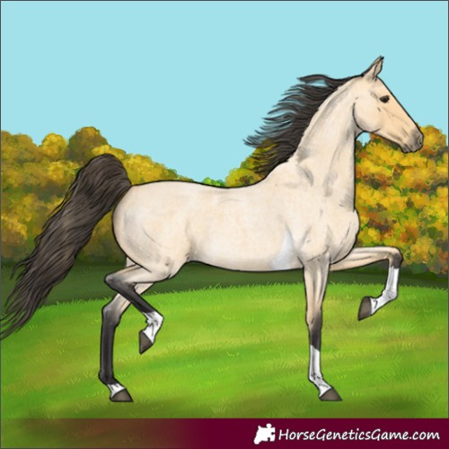 Horse Color:Buckskin Roan Tobiano 