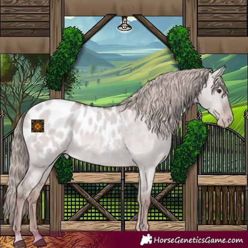 Horse Color:Platinum Red Dun Appaloosa