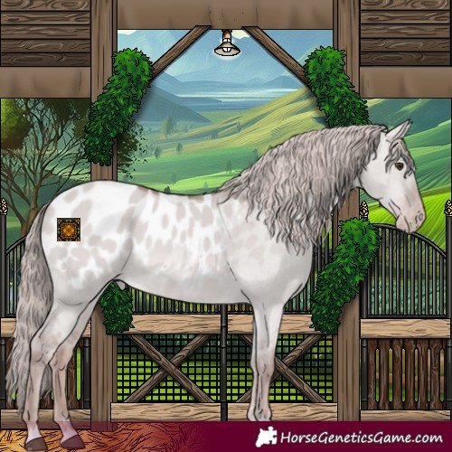 Horse Color:Platinum Red Dun Blanket