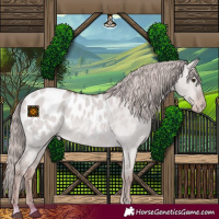 Horse Color:Platinum Red Dun Blanket
