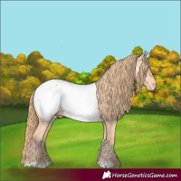 Horse Color:Gold Champagne Near Fewspot 
