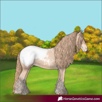 Horse Color:Gold Champagne Snowcap
