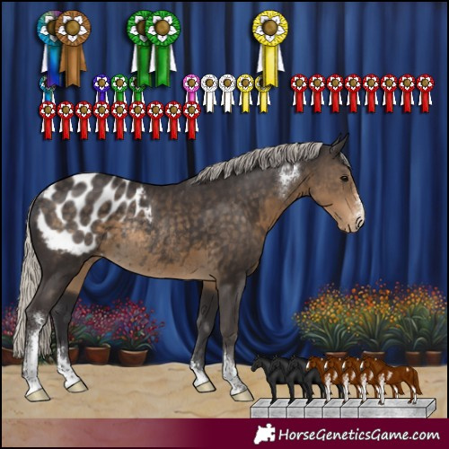 Horse Color:Silver Smoky Black Sabino Blanket Rabicano 