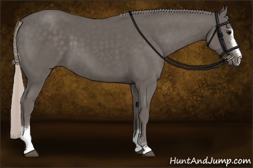 Horse Color:Silver Black Sabino 