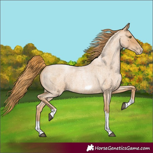 Horse Color:Red Roan Pearl Tobiano Frame