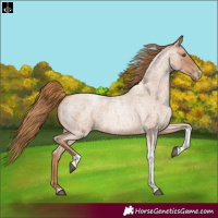 Horse Color:Red Roan Pearl Tobiano Frame 