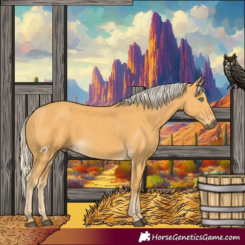 Horse Color:Palomino 