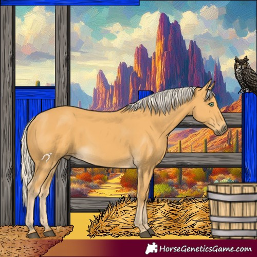 Horse Color:Palomino 