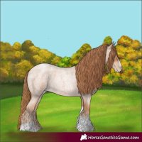 Horse Color:Red Roan Pearl Tobiano Frame