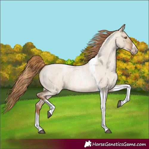Horse Color:Liver Red Dun Roan Pearl Tobiano Frame