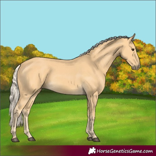Horse Color:Palomino 