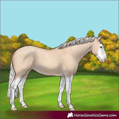 Horse Color:Silver Classic Champagne Dun Splash Frame 