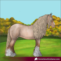 Horse Color:Liver Red Roan Pearl Tobiano Frame 