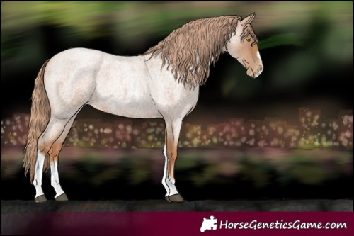 Horse Color:Red Roan Pearl Tobiano Frame