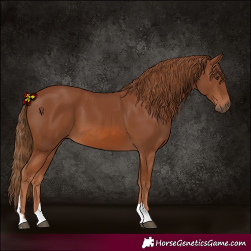 Horse Color:Chestnut Tobiano 