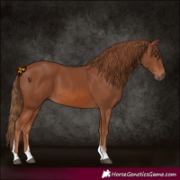 Horse Color:Chestnut Tobiano 
