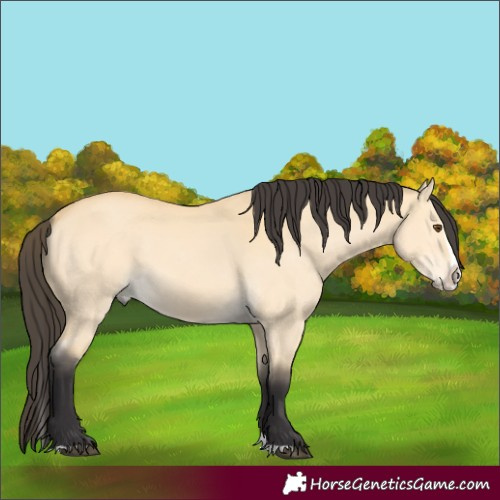 Horse Color:Buckskin Dun Splash 
