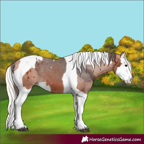 Horse Color:Bay Splash Tobiano Varnish  and Silver Bay Splash Tobiano Varnish 