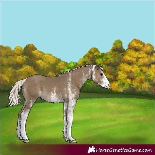 Horse Color:White Spotted Silver Smoky Black 