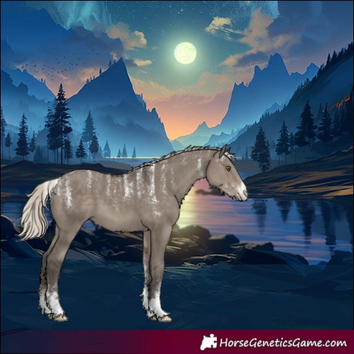 Horse Color:Powder White Silver Smoky Grullo 