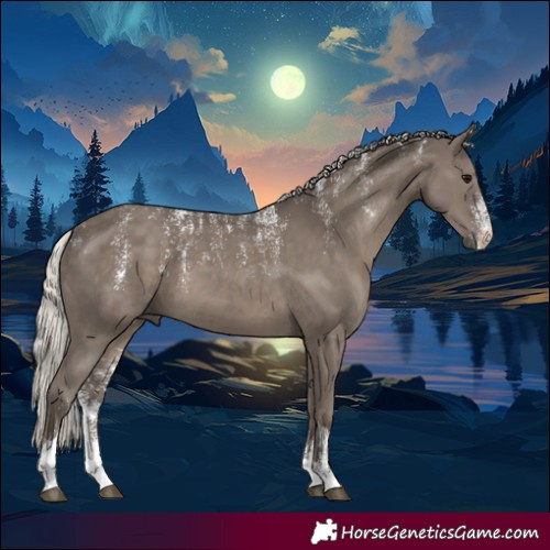 Horse Color:Powder White Silver Black 