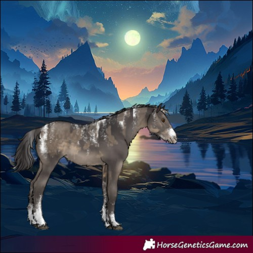 Horse Color:Powder White Silver Smoky Grullo  and Powder White Smoky Black 