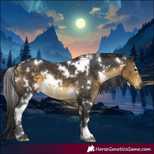 Horse Color:White Spotted Buckskin 