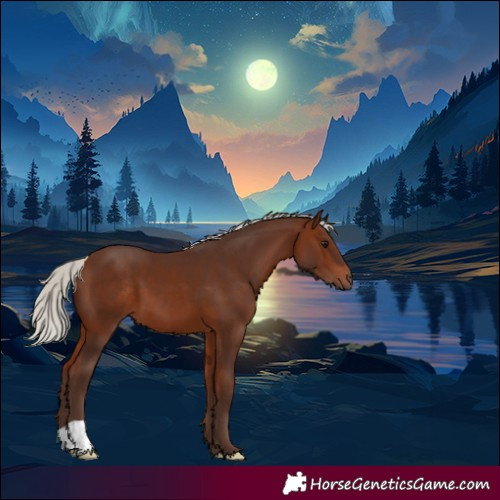 Horse Color:Silver Bay 