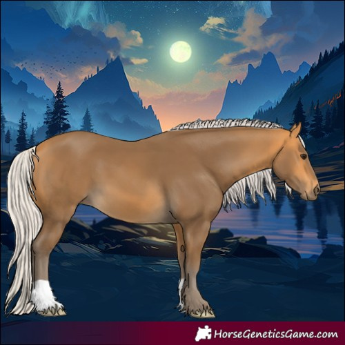 Horse Color:Silver Buckskin 