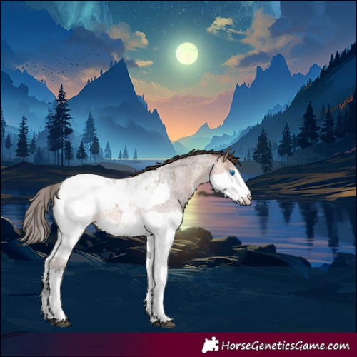 Horse Color:Bay Roan Splash Snowcap 