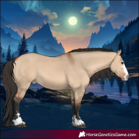Horse Color:Bay Dun