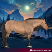 Horse Color:Bay Dun