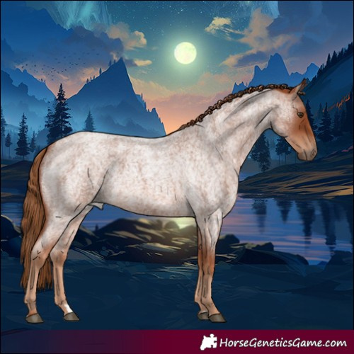Horse Color:Red Roan 