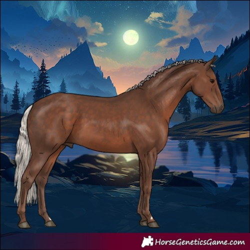 Horse Color:Silver Black 